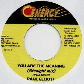 Paul Elliot - You Are The Meaning