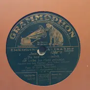 Paul Godwin Tanz Orchester - Du Hast Mir Heimlich Die Liebe Ins Haus Gebracht / Frag' Nicht Wie, Frag' Nicht Wo