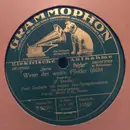 Schellack - Paul Godwin Mit Seinen Jazz-Symphonikern / Efim Schachmeister Und Sein Jazz Symphonie Orchester - Wenn Der Weiße Flieder Wieder Blüht / Die Perle Vom Lido