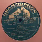 Paul Godwin Mit Seinen Jazz-Symphonikern - Wenn Der Weiße Flieder Wieder Blüht / Die Perle Vom Lido