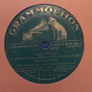 Paul Godwin Mit Seinen Jazz-Symphonikern - Hallo, Margot / Fräulein, Pardon