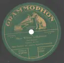 Schellack-12inch Vinyl Single - Paul Godwin - Neue Wiener Volksmusik Teil III und Teil IV