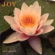 LP - Paul Greaver - Joy