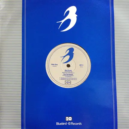 Paul Hardcastle - Rain Forest