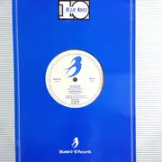 12inch Vinyl Single - Paul Hardcastle - Rain Forest