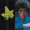 12inch Vinyl Single - Paul Hardcastle - Rain Forest