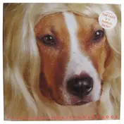 Paul Leary - The History Of Dogs