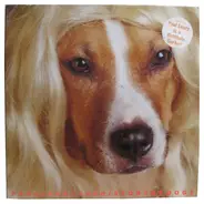 Paul Leary - The History Of Dogs