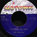 7inch Vinyl Single - Paul Petersen - A Little Bit For Sandy