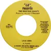 7inch Vinyl Single - Paul Strasser & The Raintree County Featuring Ellen Strasser - Love Song / Chicago Blues