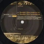 12inch Vinyl Single - Paul van Dyk - Beautiful Place