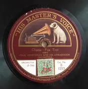 The Benson Orchestra Of Chicago - Cherie / Ain't We Got Fun