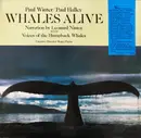 LP - Paul Winter / Paul Halley , Leonard Nimoy - Whales Alive