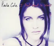 Paula Cole - I Don't Want To Wait