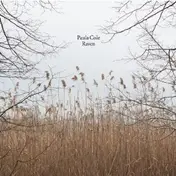 Paula Cole - Raven