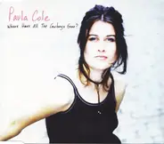 Paula Cole - Where Have All The Cowboys Gone?