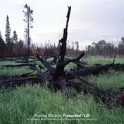 Pauline Oliveros - PRIMORDIAL LIFT