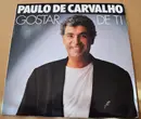 LP - Paulo De Carvalho - Gostar De Ti