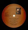 12inch Vinyl Single - Paul Winter - Joy - RAR PROMO