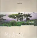 12'' - Paul van Dyk - The Green Valley E.P.