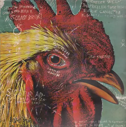 Pavement - Watery, Domestic