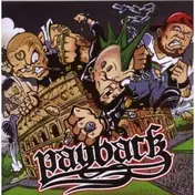 PAYBACK - Bring It Back