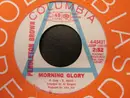 7inch Vinyl Single - Pendleton Brown - Morning Glory / Suzanne