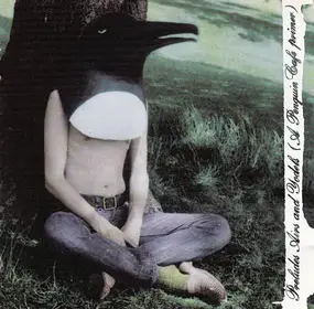 The Penguin Cafe Orchestra - Preludes, Airs & Yodels (A Penguin Cafe Primer)