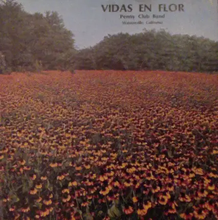 Penny Club Band - Vidas En Flor