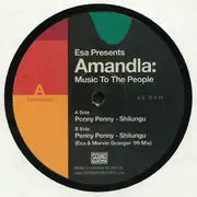 12inch Vinyl Single - Penny Penny - Shilungu