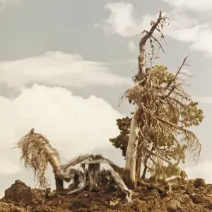 People Of The North - Steep Formations