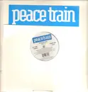 12inch Vinyl Single - Peace Train - Bangin My Drum
