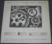 Peace of Mind - Split LP