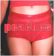 Peaches - The Teaches of Peaches