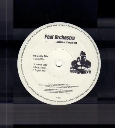 Peal Orchestra - Summer Sensation