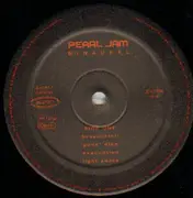 Double LP - Pearl Jam - Binaural - booklet