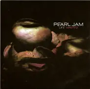 Pearl Jam - Life Wasted