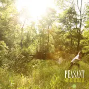 The Peasant - Shady Retreat