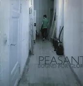 The Peasant