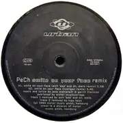 12inch Vinyl Single - PeCh - Smile On Your Face (Remix)
