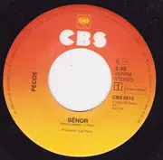 7inch Vinyl Single - Pecos - Señor