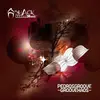 12inch Vinyl Single - Pedrosgroove - Groovekaos