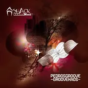 12inch Vinyl Single - Pedrosgroove - Groovekaos