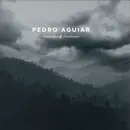 LP - Pedro Aguiar - Landscapes & Heartbreaks