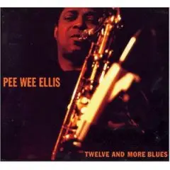 Pee Wee Ellis - Twelve and More Blues