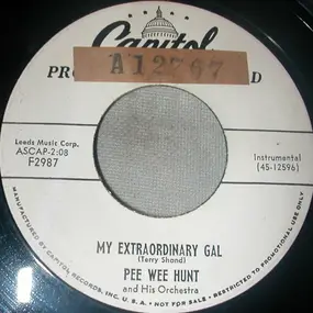 7221467 - My Extraordinary Gal