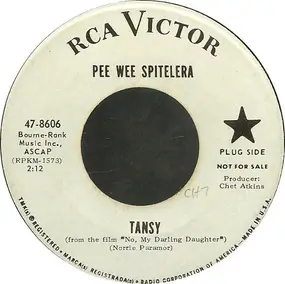 Pee Wee Spitelera - Tansy