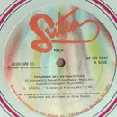 12inch Vinyl Single - Peek - Rhumba My Sensations