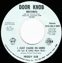 7inch Vinyl Single - Peggy Sue - I Just Came In Here (To Let A Little Hurt Out) / Jody Come Home
