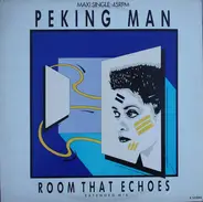 Peking Man - Room That Echoes (Extended Mix)